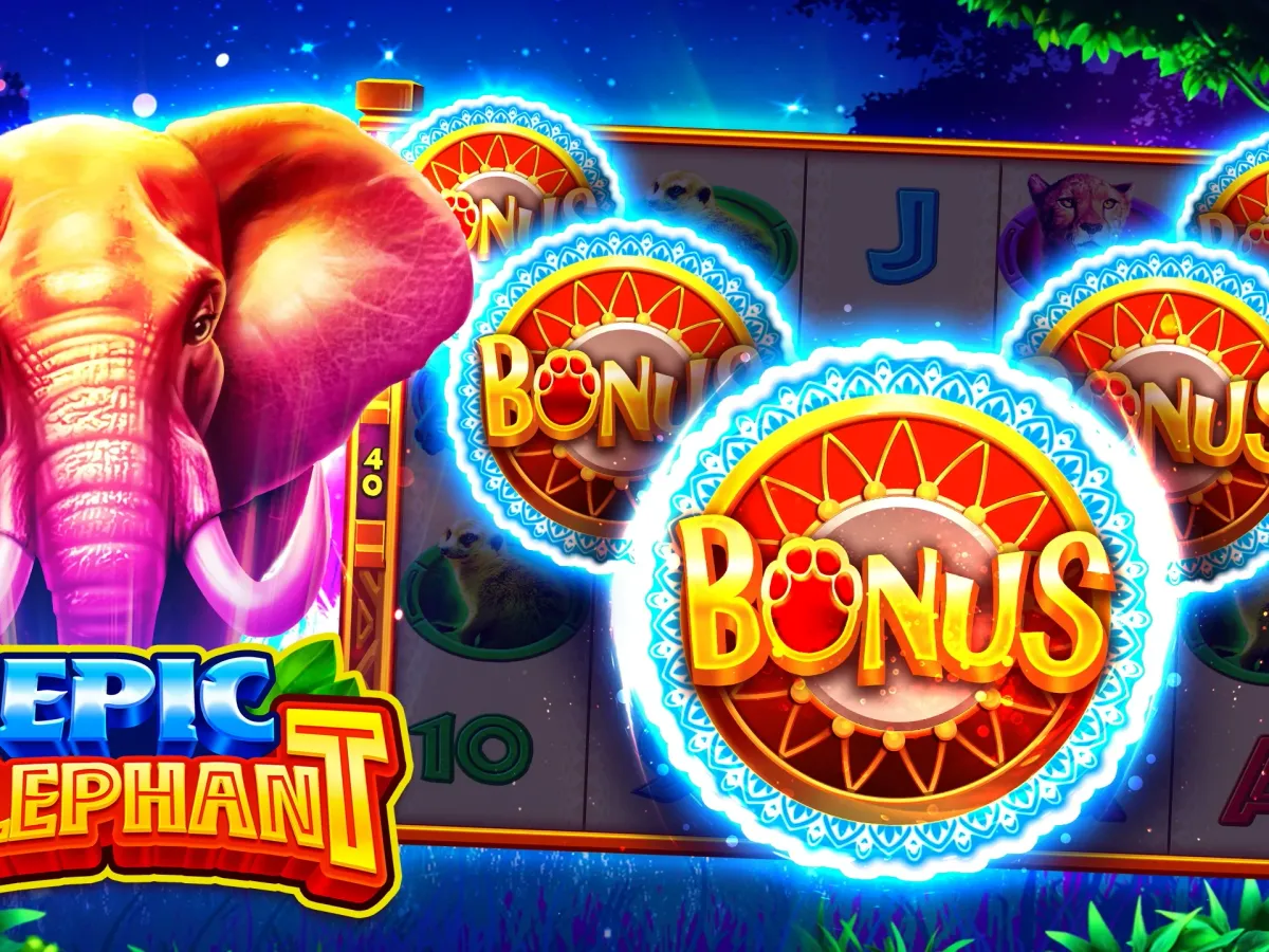 Akses bandit4d VIP Premium screenshot